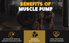 AgeX Muscle Pump - Whey Protein with Creatine & Glutamine