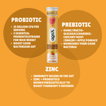AgeX GutFizz - Probiotic 25 Billion CFU for Gut Health