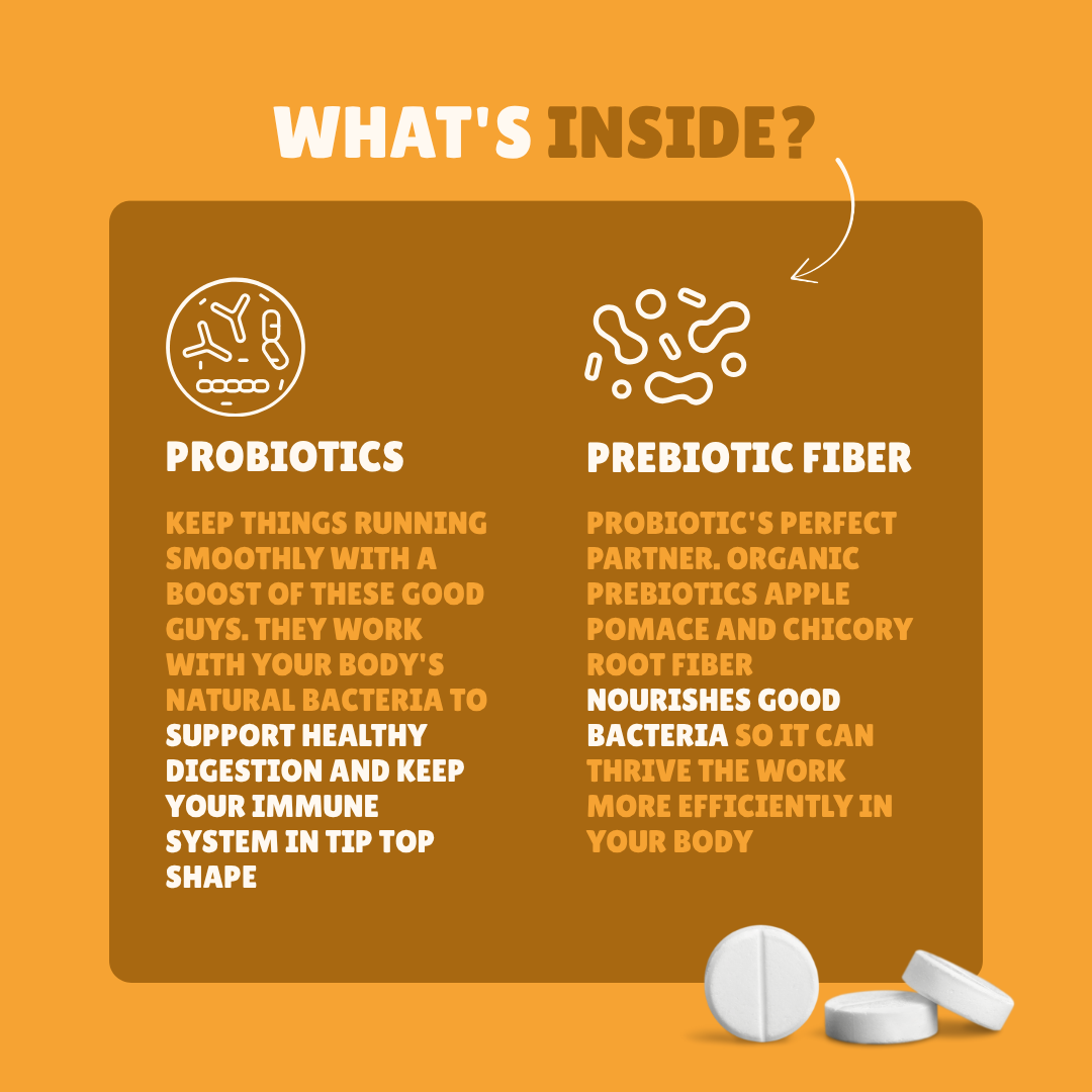 AgeX GutFizz - Probiotic 25 Billion CFU for Gut Health