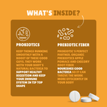 AgeX GutFizz - Probiotic 25 Billion CFU for Gut Health