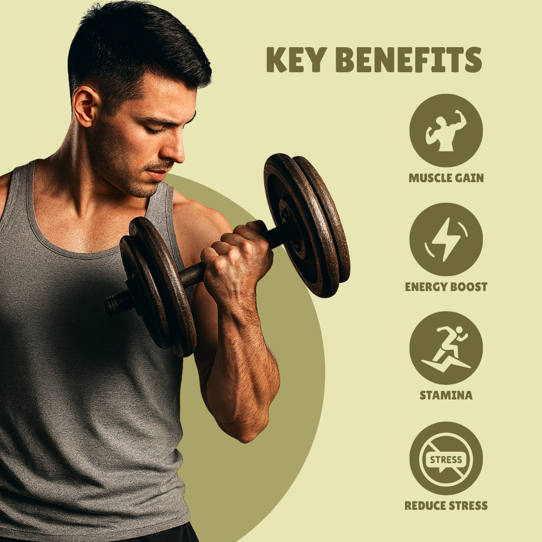 AgeX L-Carnitine + L-Arginine - Fat Burner & Pre-Workout