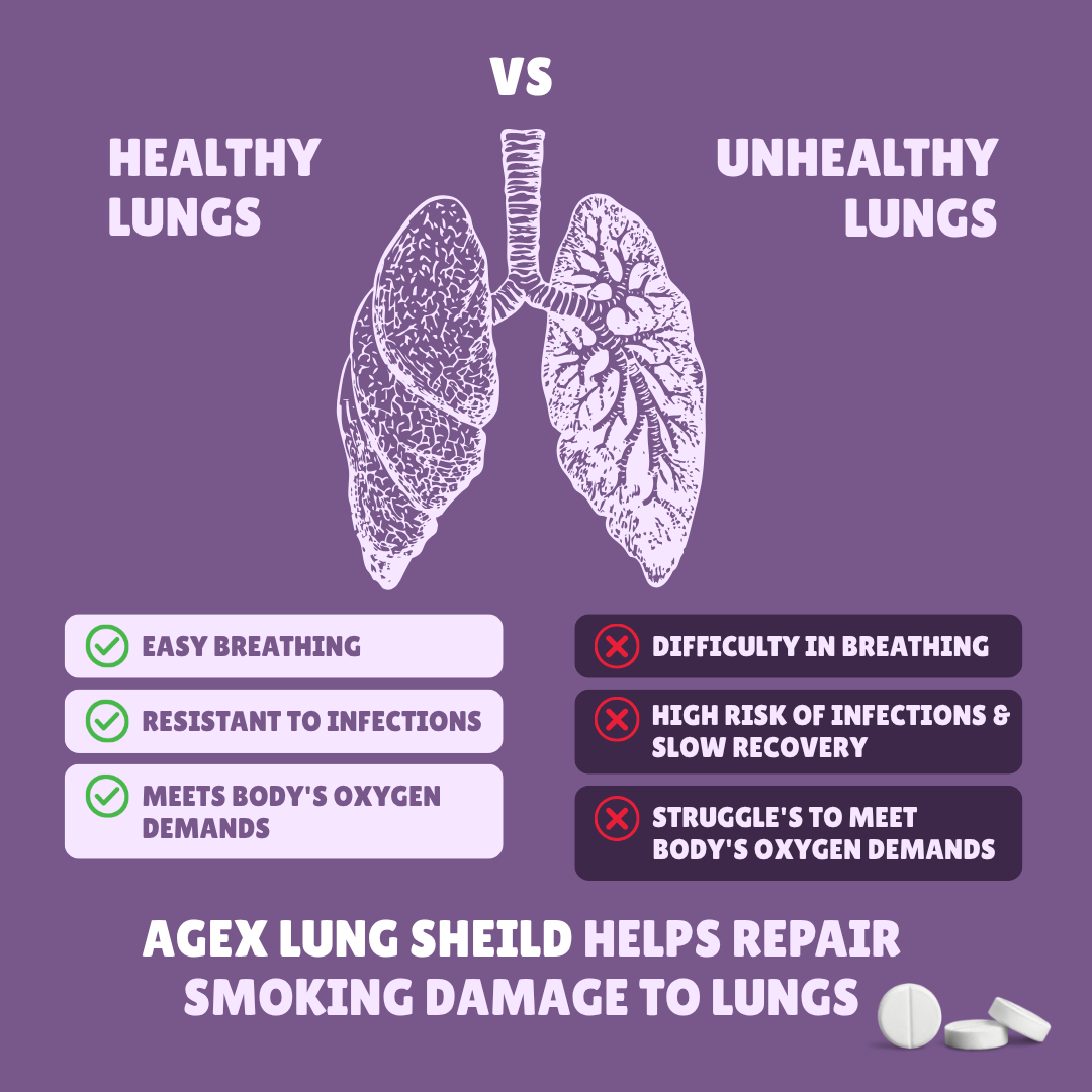 AgeX Lung Shield - NAC 600mg for Respiratory Health