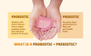 AgeX GutFizz - Probiotic 25 Billion CFU for Gut Health